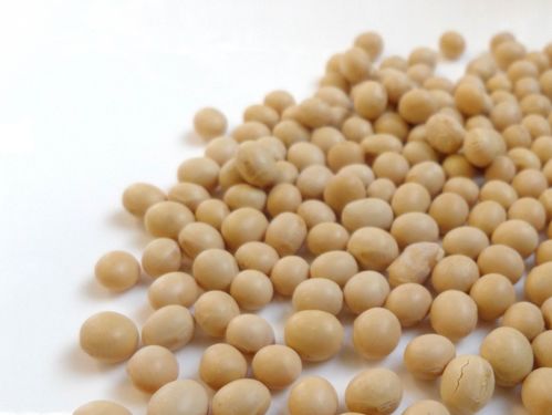 Dried soybeans