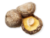 Shitake svampe grundlæggende kvalitet