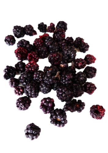 Whole freeze-dried Blackberries