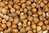 Hazelnut kernels 11-13 mm