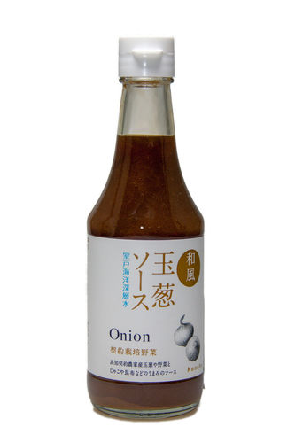 Japanese Onion Sauce