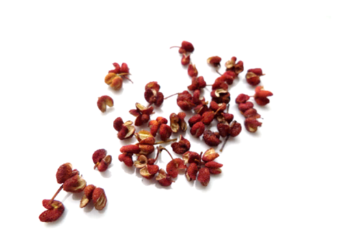 Japanische Sansho-Pfeffer-Beeren rot