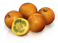 Lulo-Püree (Naranjilla) Tiefkühl-Artikel
