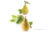 Silicone mould Pear or Fig